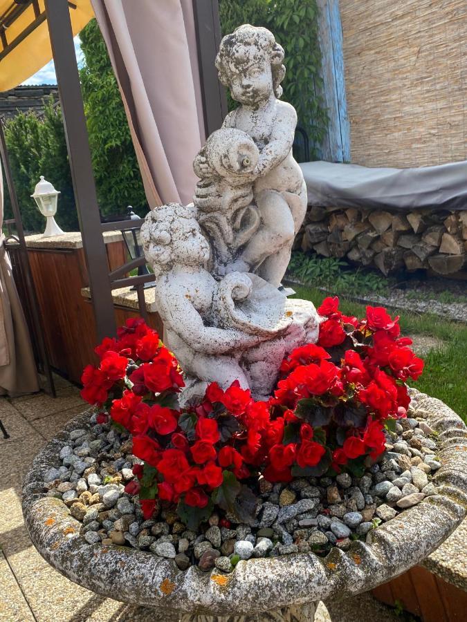 Penzion Vila Petra Bed&Breakfast Veľký Slavkov エクステリア 写真