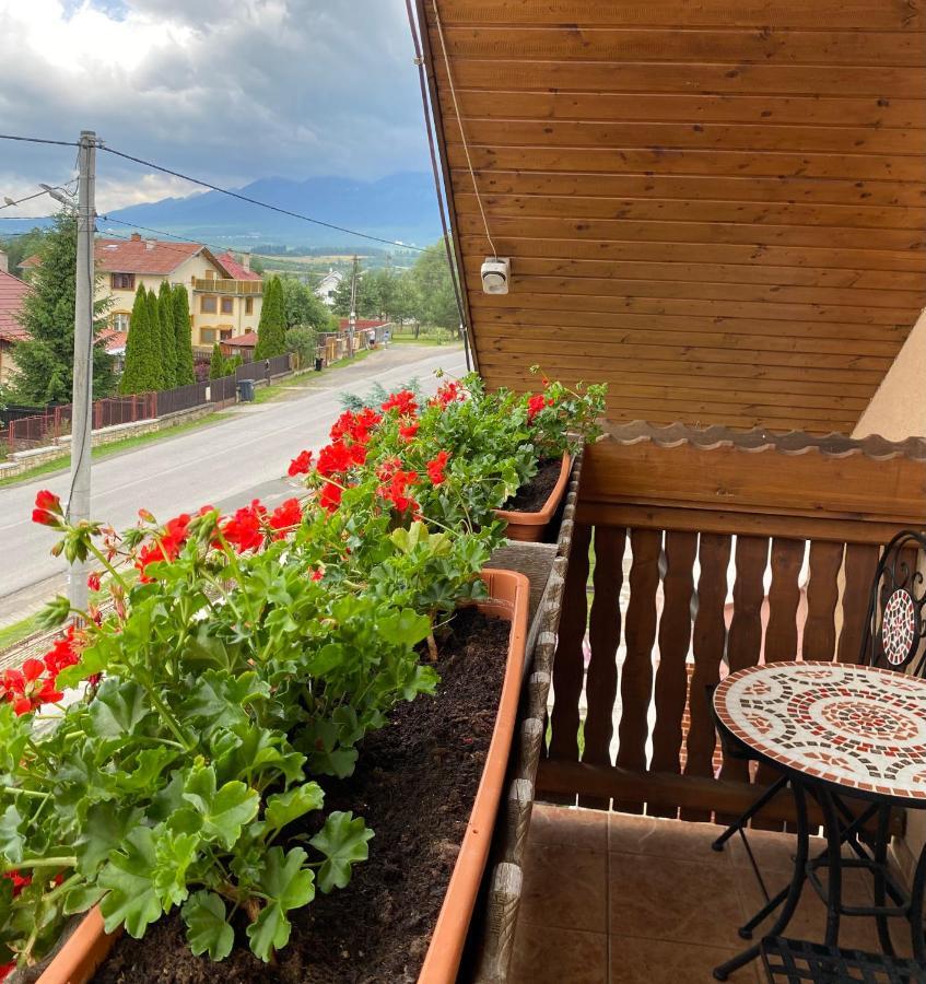 Penzion Vila Petra Bed&Breakfast Veľký Slavkov エクステリア 写真